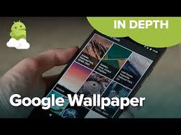 google wallpaper app on google pixel