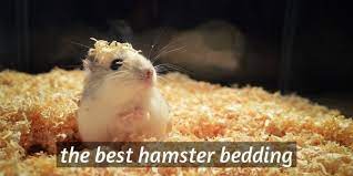 4 Best Hamster Bedding Substrate