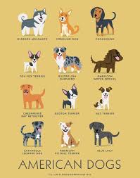 Illustrated Dog Breed Charts Dogs Of The World
