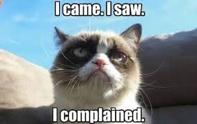 Image result for Grumpy cat memes