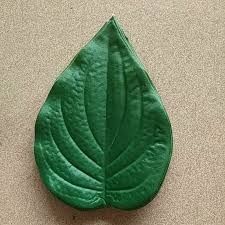 betel leaf best in singapore