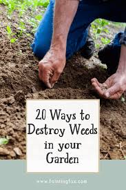 20 Ways To Destroy Weeds In Your Garden