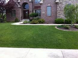 Finding a lawn care service near me can be harder than you would think. Natural Organic Lawn Care In Griffith Lawn Doctor Of West Lake County