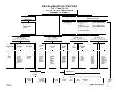 Bir Org Chart Bir Organizational Structure E O 175 And