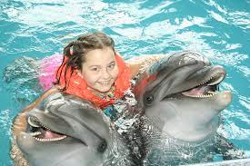 dolphin therapy is it worth it