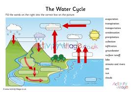 Printable Water Cycle Diagram Quiz Technical Diagrams