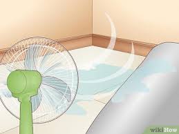 how to dry wet carpet fast and prevent