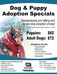 Since 1993 we have rescued over 40,000 puppies. Dog Puppy Adoption Specials Montgomery County Animal Resource Center Facebook