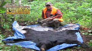 skinning black bear for a rug in the