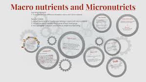 macro nutrienticronutriets by