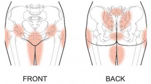 pelvic girdle and lower back pain