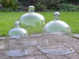 Victorian Glass Bell Jar Cloches Set