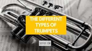 نتیجه جستجوی لغت [trumpets] در گوگل
