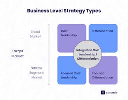 what is a business level strategy how