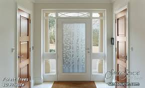 Glass Doors Interior Etched Glass Door