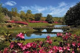 11 beautiful alabama gardens to visit