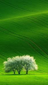 beautiful green scenery images
