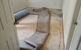 water damage carpet re installation md
