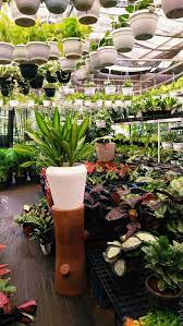 top plant nurseries in viyyakurissi