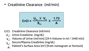 Clinical Chemistry Creatinine Clearance