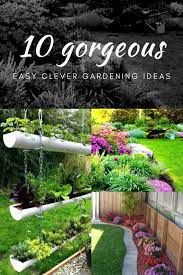 easy clever gardening ideas and plant