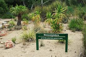 australian national botanic gardens