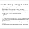 Structural Family Therapy Counseling Approach