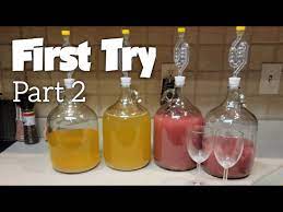 learning to make muscadine wine for the