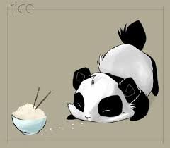 Résultats de recherche d'images pour « panda mignon »