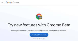 what version of google chrome do i have