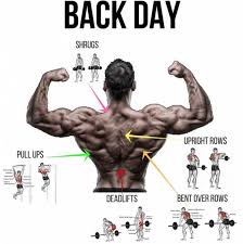 Back Day Workout Plan Healthy Fitness Strong Lat Training Yeah We