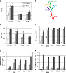 Developmental And Physiological Responses Of Brachypodium