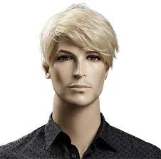 Amazon | 6インチ短い金髪男性かつら自然な髪の男かつらストレートヘアスタイル | フルウィッグ 通販