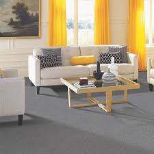 carpet cleaning bronx ny r r carpets