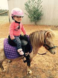 Maybe you would like to learn more about one of these? Pop Up Pony Parties Mobile Farms Animals Activeactivities