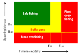 Overfishing Wikipedia