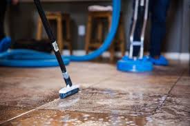 about trinity steam cleaning services