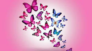 Butterfly Wallpaper Android Src Amazing ...