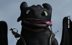 present you toothless best dragon ever