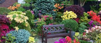 Good Time To Have A Colourful Home Garden