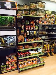Other pets at our reptile store, we carry monitors, turtles, tortoises, frogs and toads. Reptile Shop Interior Reptile Pet Store Reptile Shop Reptile Zoo