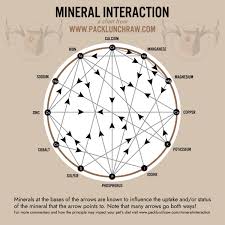 Mineral Interaction Diagram Pack Lunch