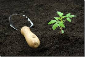 gardening basics how to amend soil