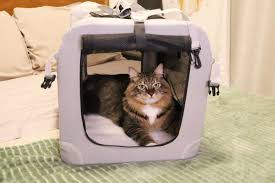 the 8 best cat carriers of 2023 tested