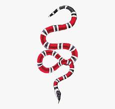 gucci snake gucci snake logo hd