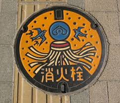 Αποτέλεσμα εικόνας για Manhole Covers in JAPAN