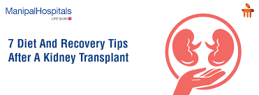 7 Diet And Recovery Tips After A Kidney Transplant Manipal