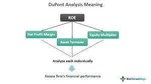dupont ysis what is it exles
