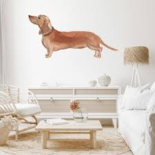 Tan Dachshund Dog Kennels Grooming Wall