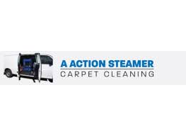 a action steamer carpet cleaners